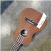 Image 2 : OSCAR SCHMIDT UKELELE OU2PAK-A
