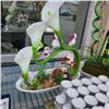 Image 2 : 2 ARTIFICIAL ORCHIDS NEW TEALIGHTS AND FOLIAGE BOOK