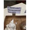 Image 10 : IRRIDESCENT HERMIT CRAB SHELL AND CONCH SHELL