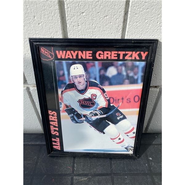 Wayne Gretzky picture