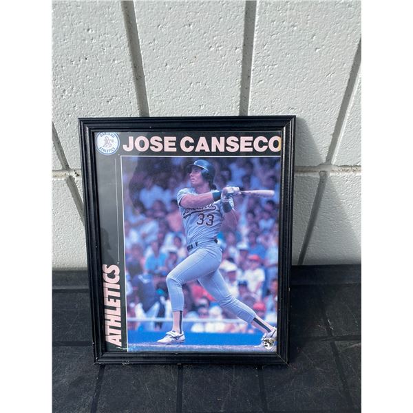 Jose Canseco picture