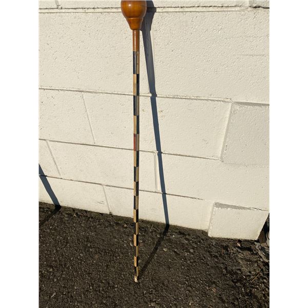 Walking stick