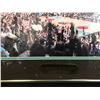 Image 2 : VANCOUVER GRIZZLIES FRAMED CROWD SHOT PHOTO
