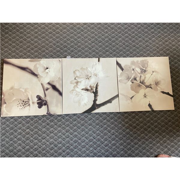 Flower Prints on Canvas x3 - 22  x 22  Each