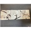 Image 1 : Flower Prints on Canvas x3 - 22" x 22" Each