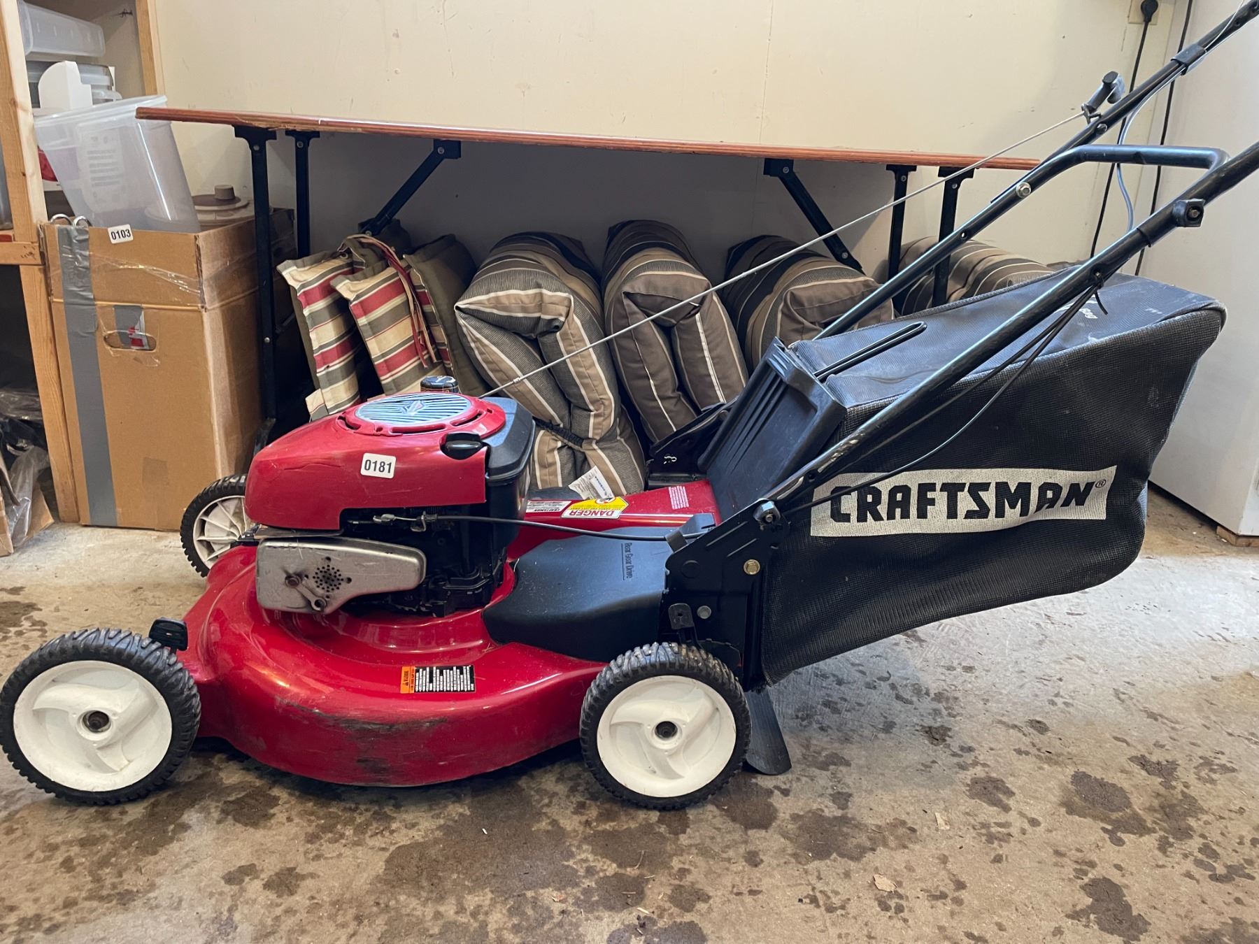 Craftsman (Briggs & Stratton) Gas Powered with Bag - Self Propelled ...