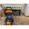 Image 1 : PowerPlay Streetrod Gas Pressure Washer 3300psi - 7 Bottles of 4L Pressure Washer Detergent #CR950