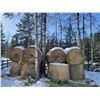 Image 1 : Large Horse Quality Haybales x11 *Quantity has been changed due to necessary consumption for horses