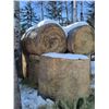 Image 2 : Large Horse Quality Haybales x11 *Quantity has been changed due to necessary consumption for horses