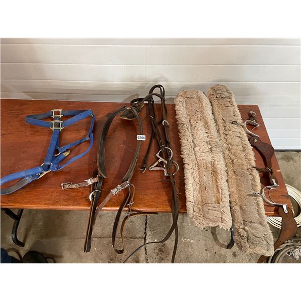 Cinches x2 - Breast Collar - Spurs - Halter - Bridle