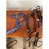 Image 2 : Cinches x2 - Breast Collar - Spurs - Halter - Bridle