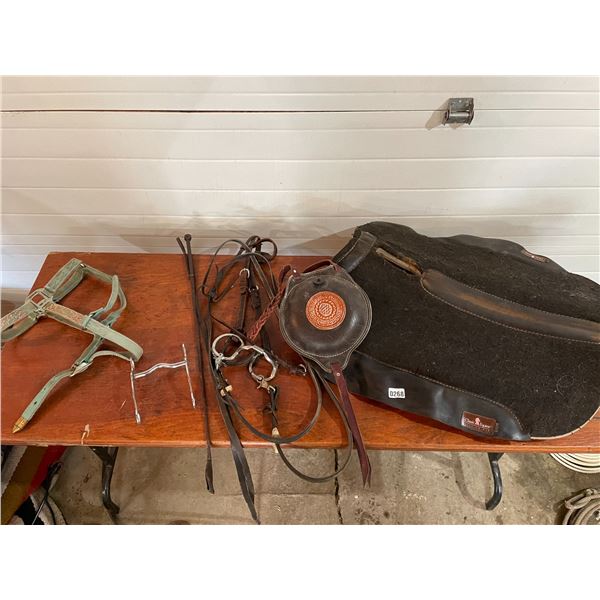Classic Equine Saddle Pad - Halter - Bridle - Canteen - Riding Crop 5" bit