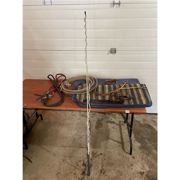 Buggy Whip - Rope - Sweat Pad - Blanket - Bridle with Reins - Spurs - Martingale