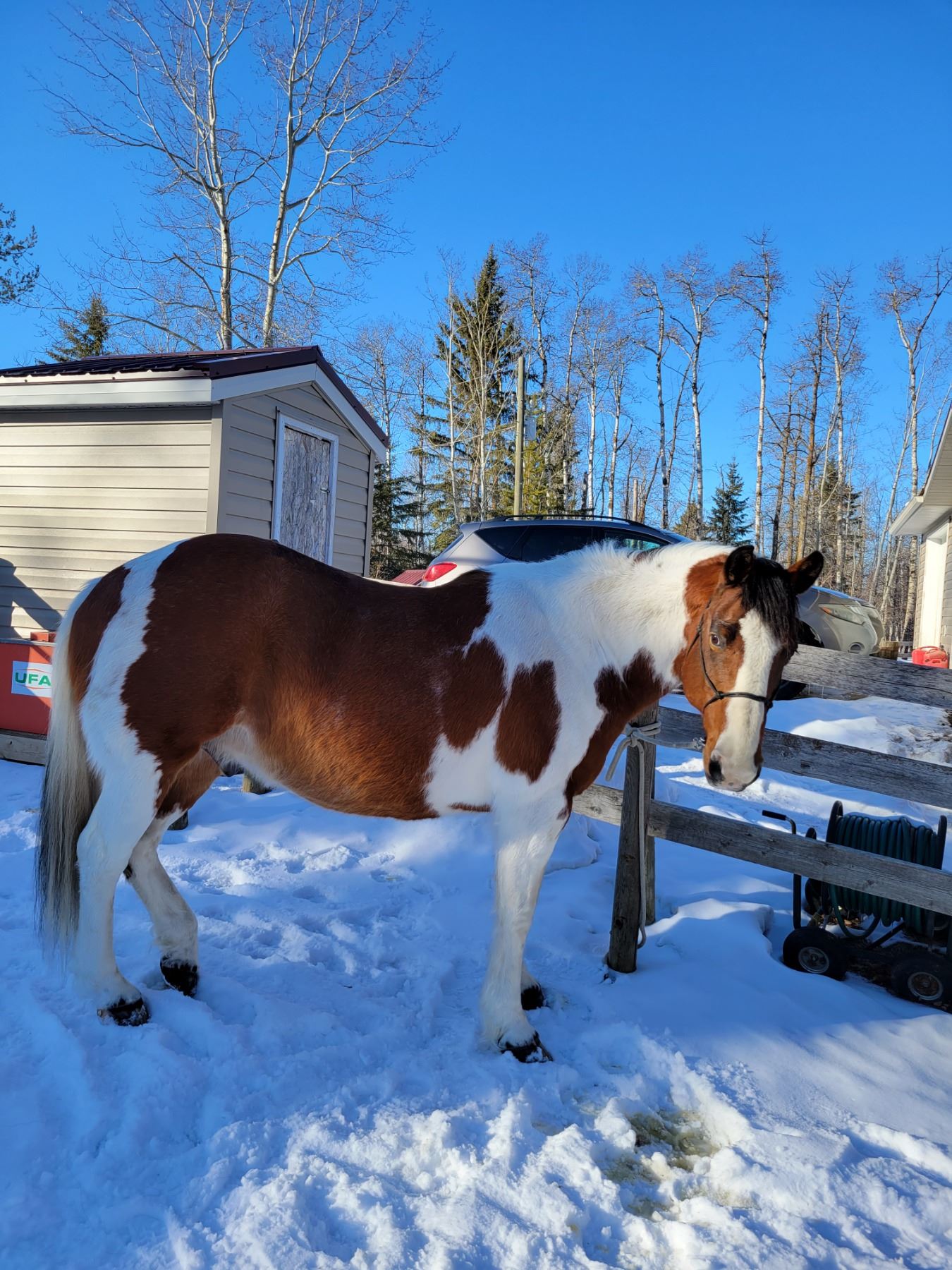 Cheyenne - Beck Auctions Inc.