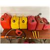 Image 2 : Various Sizes Of Gas Cans x10 & Diesel Cans x2 with Extra Spouts & Pump