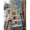 Image 2 : 6' Ladder & 8' Ladder