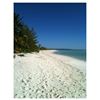 Image 13 : Get Away, Bahama Vacation for 8 people, 7 Relaxing Days, Bone Ami Beachfront Retreat in Abaco, Baham