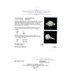 Image 5 : 1.25 ctw Diamond Ring - 14KT White And Yellow Gold
