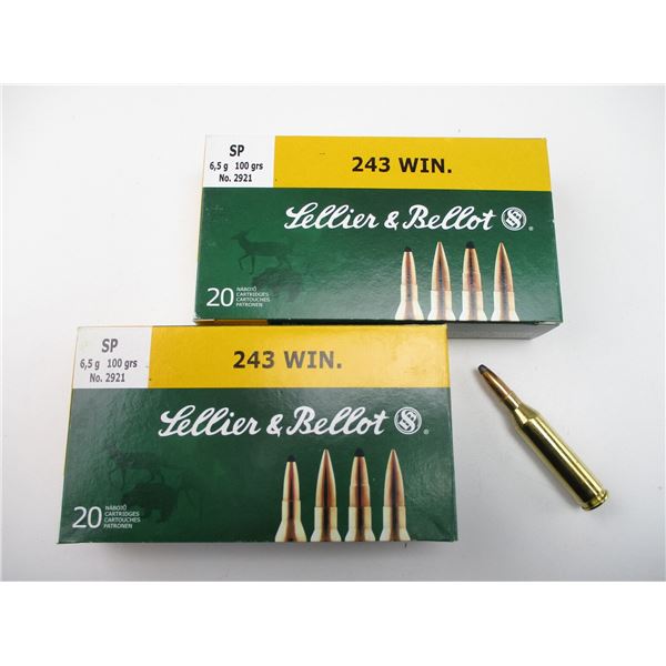 SELLIER & BELLOT .243 WIN AMMO