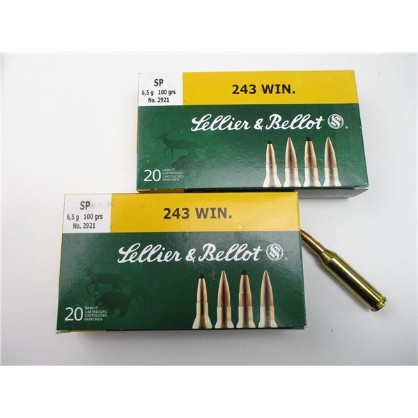 SELLIER & BELLOT .243 WIN AMMO