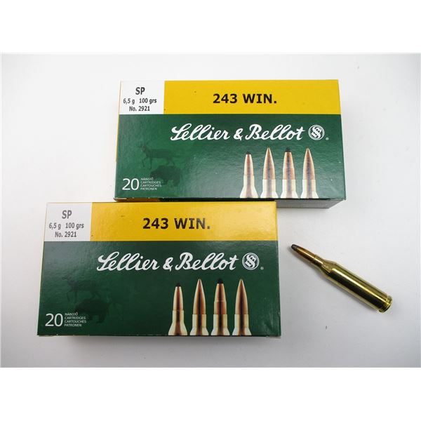 SELLIER & BELLOT .243 WIN AMMO