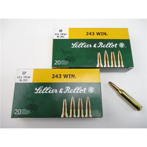 SELLIER & BELLOT .243 WIN AMMO