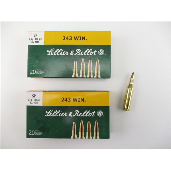 SELLIER & BELLOT .243 WIN AMMO