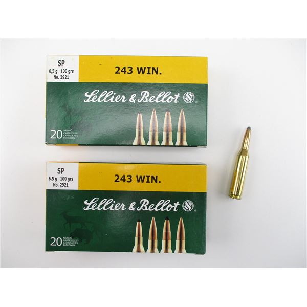SELLIER & BELLOT .243 WIN AMMO