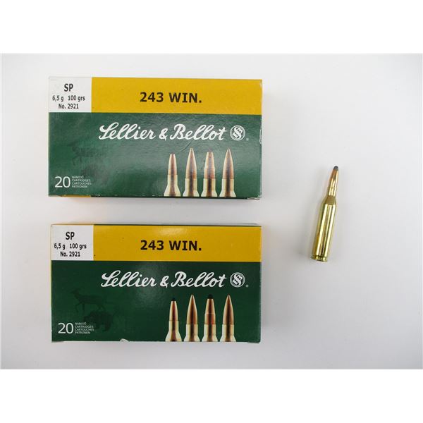 SELLIER & BELLOT .243 WIN AMMO