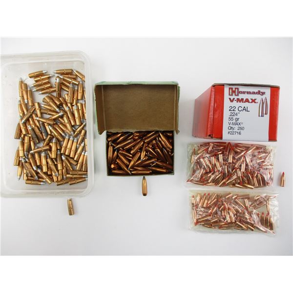 ASSORTED BULLET LOT