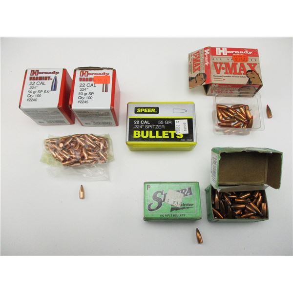 22 CAL BULLET LOT