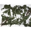 Image 8 : MILITARY DUFFEL BAG/CAMO NETTING LOT