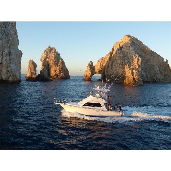 Cabo San Lucas Fishing Trip