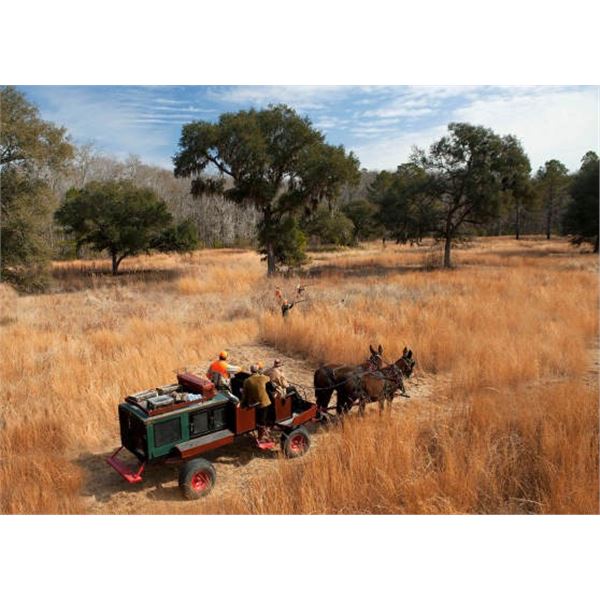 Brays Island Plantation