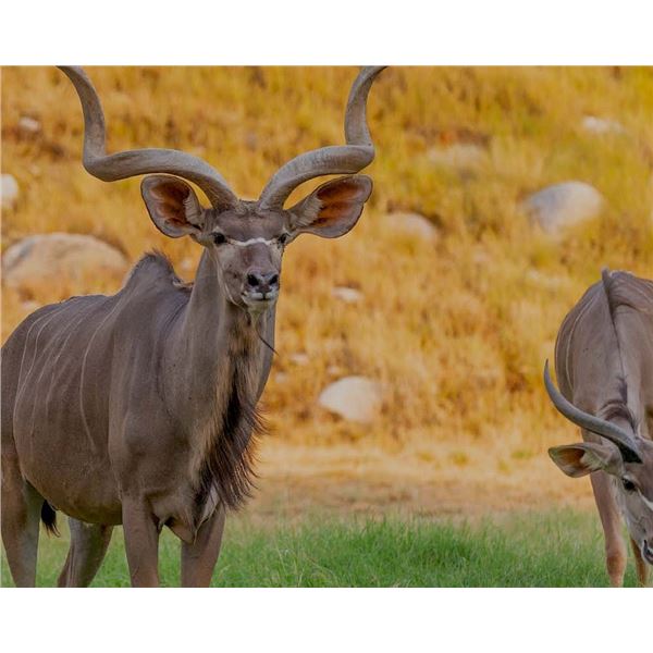 Sabudawn Safaris Southern Africa