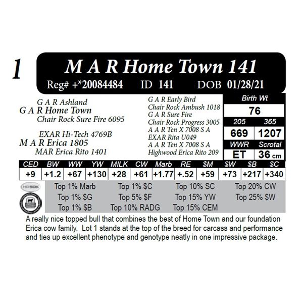 M A R Home Town 141