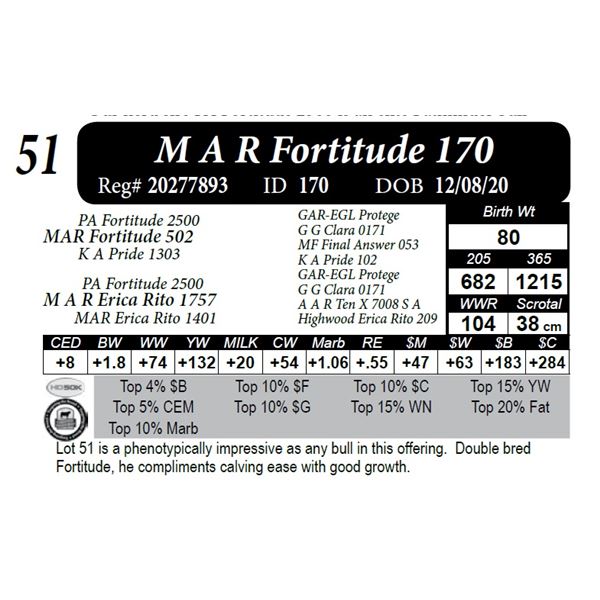 M A R Fortitude 170
