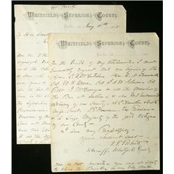 [Georgia - 1876] Dixiecrat Politicians Complain About Republican Efforts To Mobilize Southern Blacks