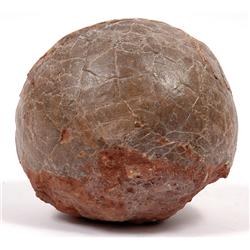 DINOSAUR EGG MUSEUM QUALITY