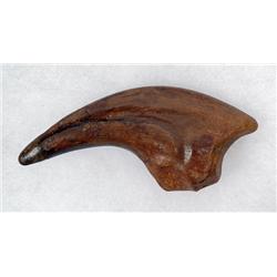 DINOSAUR RAPTOR FOOT CLAW