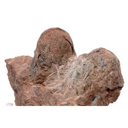 RARE PAIR OF TROODON DINOSAUR EGGS