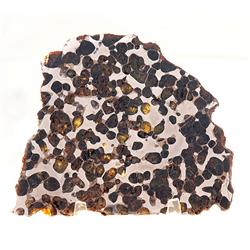 METEORITE AMERICAN PALLASITE BRENHAM
