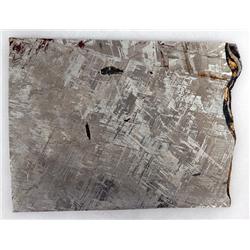 METEORITE ETCHED GIBEON SLICE