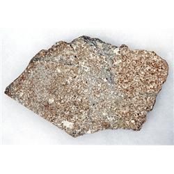 METEORITE SECTION FROM VESTA