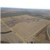 Image 3 : Tract 1 - 160+/- Acres of Dryland and Native Grass