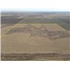 Image 4 : Tract 1 - 160+/- Acres of Dryland and Native Grass
