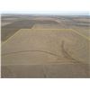 Image 4 : Tract 2 - 159+/- Acres of Dryland - Barber Co, KS