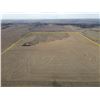 Image 3 : Tract 3 - 216+/- Acres of Dryland, Native Gras and old Homestead