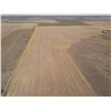 Image 4 : Tract 3 - 216+/- Acres of Dryland, Native Gras and old Homestead