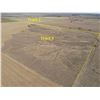 Image 5 : Tract 3 - 216+/- Acres of Dryland, Native Gras and old Homestead